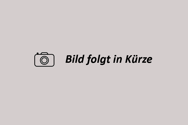 Der Vorstand